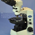 Olympus Model CX31 Bertrand Lens Strain Free Optics Polarizing Microscope
